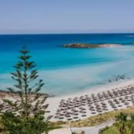 Carmel Vila